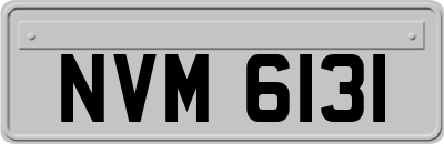 NVM6131