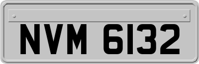 NVM6132