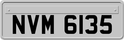 NVM6135