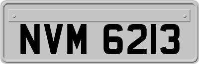 NVM6213