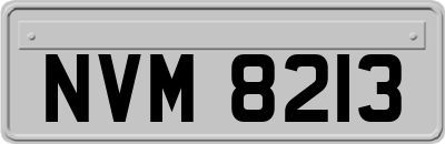 NVM8213