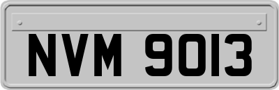 NVM9013