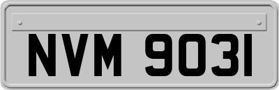 NVM9031