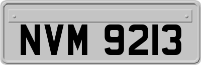 NVM9213