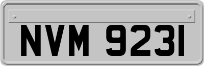 NVM9231