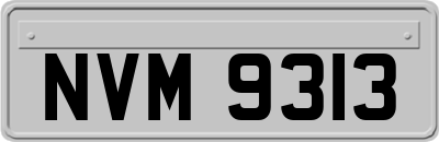 NVM9313