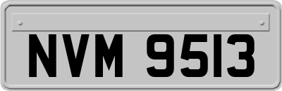 NVM9513
