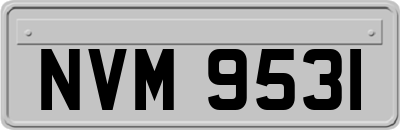 NVM9531