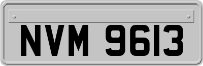 NVM9613