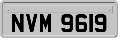 NVM9619
