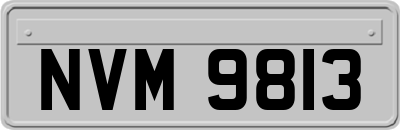 NVM9813