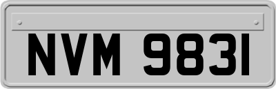NVM9831