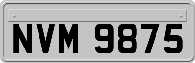 NVM9875