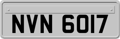 NVN6017