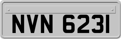 NVN6231