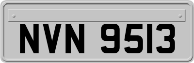 NVN9513
