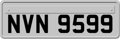 NVN9599