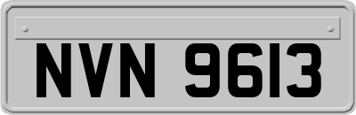 NVN9613