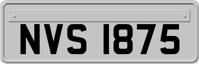 NVS1875
