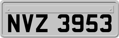 NVZ3953