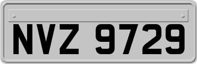 NVZ9729