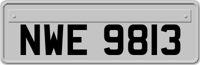 NWE9813