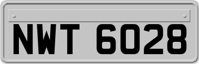 NWT6028