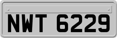NWT6229