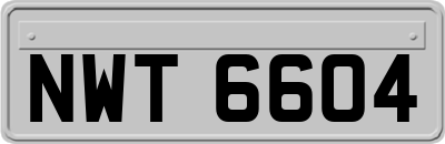 NWT6604