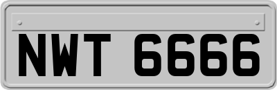 NWT6666