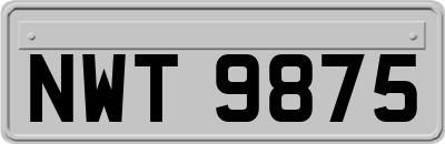 NWT9875