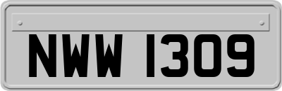 NWW1309