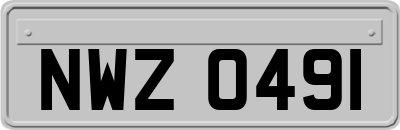 NWZ0491