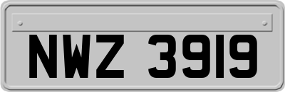 NWZ3919