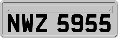NWZ5955