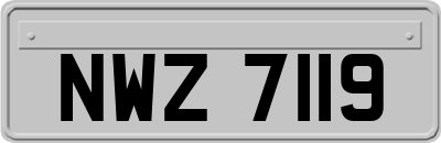 NWZ7119