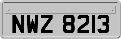 NWZ8213