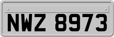 NWZ8973