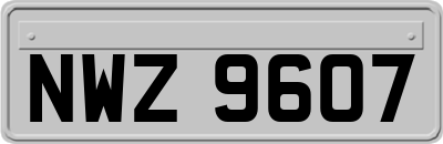 NWZ9607
