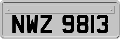 NWZ9813