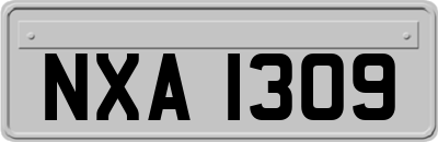 NXA1309