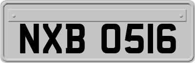 NXB0516