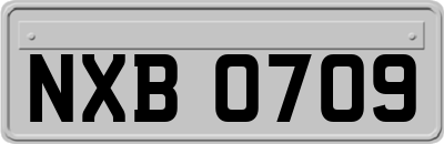 NXB0709