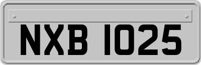 NXB1025