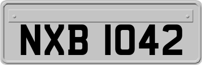 NXB1042