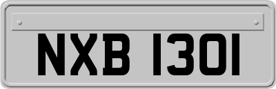 NXB1301