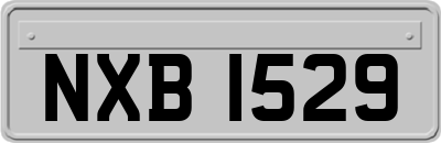 NXB1529