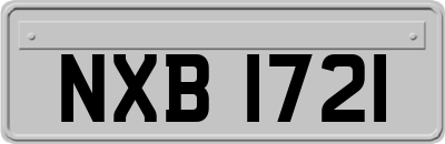 NXB1721