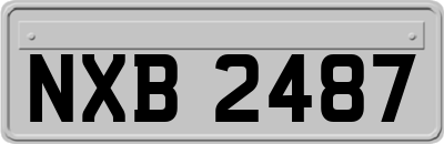 NXB2487