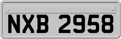 NXB2958